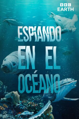 Espiando en el océano. Espiando en el océano 