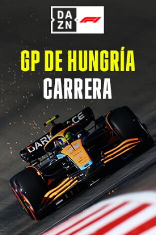 GP de Hungría (Hungaroring). GP de Hungría...: GP de Hungría: Carrera