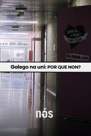 Galego na Universidade: Por que non?