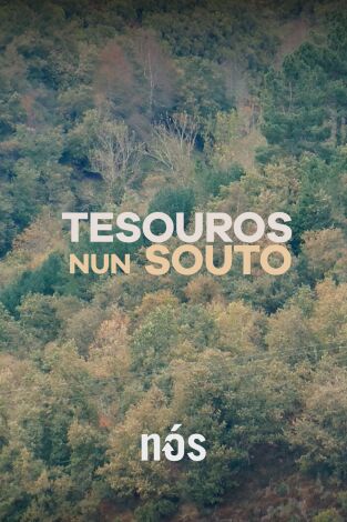 Tesouros nun souto dos Ancares