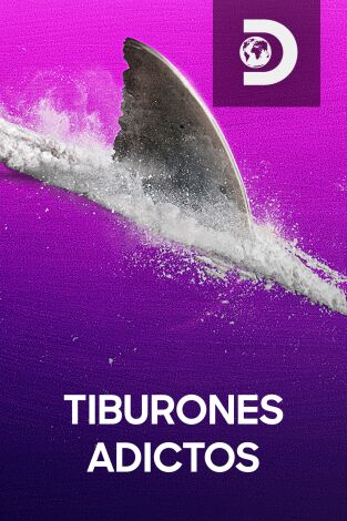 Tiburones adictos