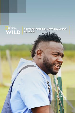 Critter fixers: Veterinarios rurales: Barkfest: Un día de perros