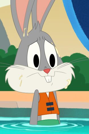 Bugs bunny:¡Manos a la obra!. T(T1). Bugs bunny:¡Manos... (T1): El tobogán de agua