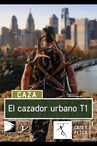 El cazador urbano. El cazador urbano: Jabalies en el castillo de Vicarello.