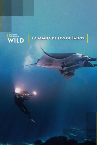 La magia de los océanos
