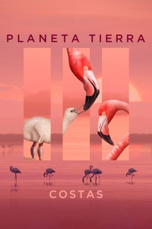 Planeta Tierra III. Planeta Tierra III: Costas