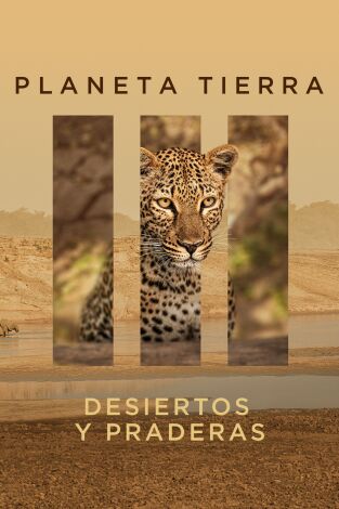 Planeta Tierra III. T1.  Episodio 3: Desiertos y praderas