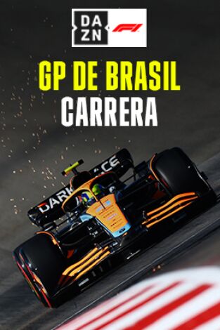 GP de Brasil (Sao Paulo). GP de Brasil (Sao Paulo): GP de Brasil: Carrera