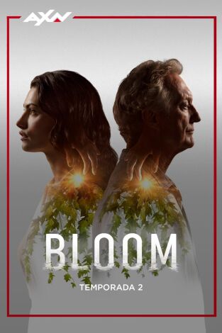 Bloom. T(T2). Bloom (T2)