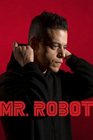 Mr. Robot. T(T1). Mr. Robot (T1)