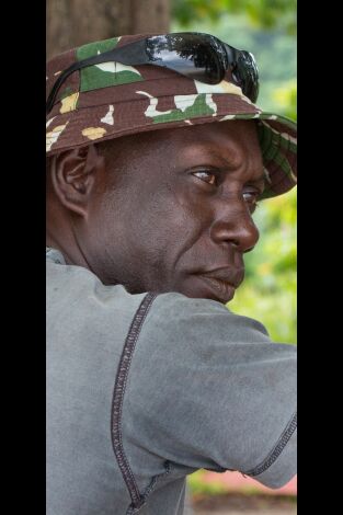 El oro de los cocodrilos. El oro de los...: El cocodrilo