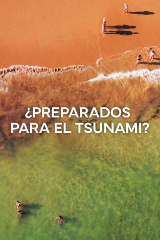 Póster de ¿Preparados para el Tsunami?