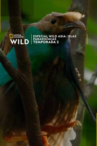 Especial Wild Asia: Islas paradisíacas