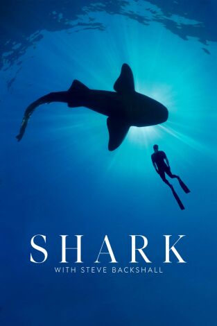 Shark with Steve Backshall. Shark with Steve...: Tiburones del Océano Atlántico