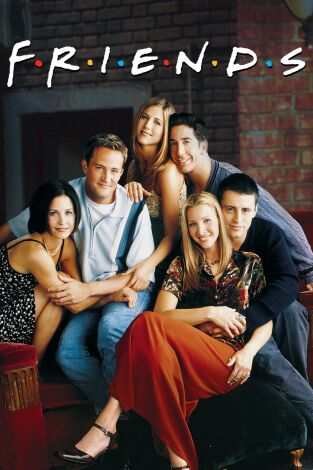 Friends. T3.  Episodio 14: El de la ex compañera de Phoebe