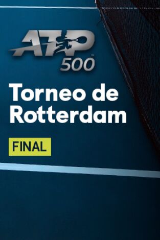 Torneo de Rotterdam. T2024. J. Sinner - A. de Minaur