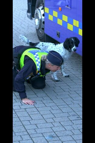 Control de fronteras: Suecia. Control de fronteras:...: Paddy halla drogas