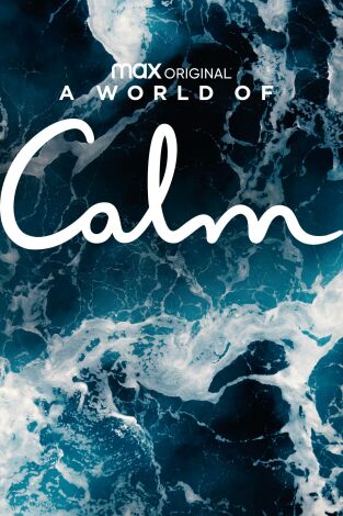 A World Of Calm. A World Of Calm: El vidriero