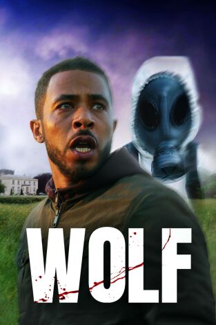 Wolf. T(T1). Wolf (T1): Ep.1 Vigilando