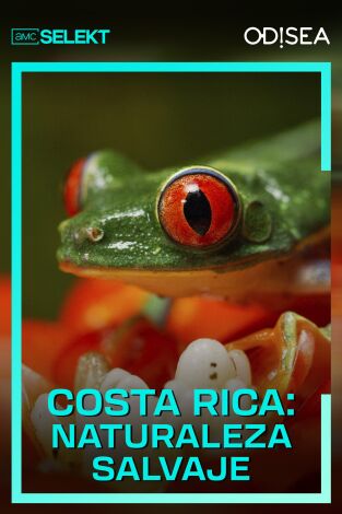 Costa Rica: naturaleza salvaje. Costa Rica: naturaleza salvaje 