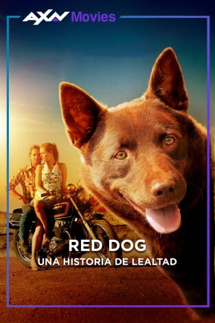Red Dog: una historia de lealtad