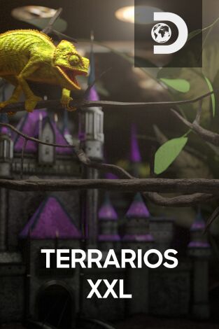 Terrarios XXL. T(T1). Terrarios XXL (T1)