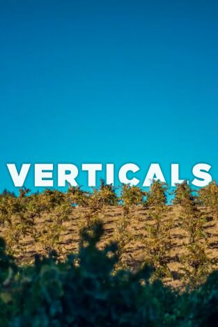 Verticales. Verticales: Ridge (parte uno)