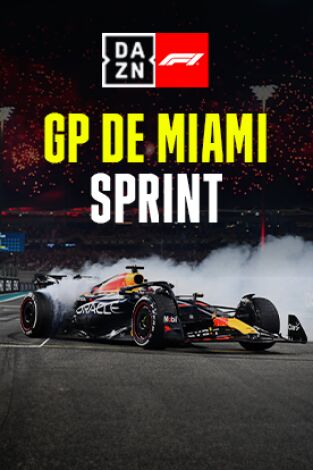GP de Miami (Miami). GP de Miami (Miami): GP de Miami: Carrera Sprint