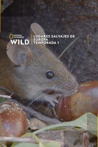 Lugares salvajes de Europa