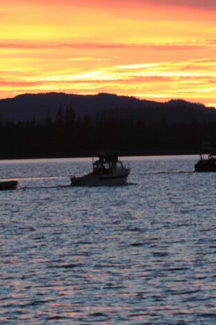 Mi familia vive en Alaska. T(T2). Mi familia vive... (T2): Retorno a la naturaleza