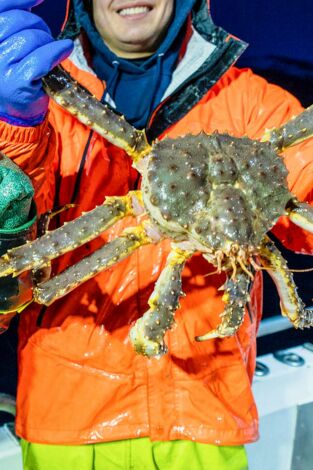 Pesca radical. T(T18). Pesca radical (T18): Hermano en peligro