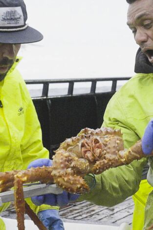 Pesca radical. T(T18). Pesca radical (T18): Sigue al arcoíris