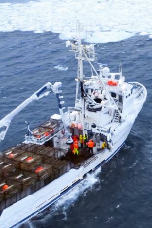 Pesca radical. T(T18). Pesca radical (T18): Congelado