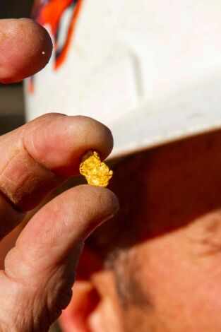 La fiebre del oro: minas perdidas. T(T3). La fiebre del... (T3): La X marca el lugar