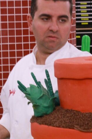 El rey de las tartas. T(T12). El rey de las tartas (T12): Tartas botánicas y frenos antibloqueo