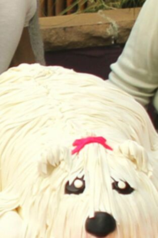 El rey de las tartas. T(T13). El rey de las tartas (T13): Quinceañeras, quarterbacks y perros