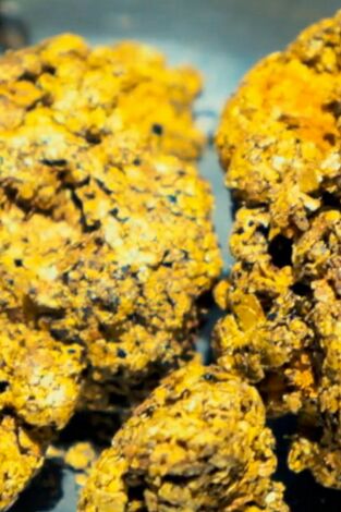 La ruta del oro con Parker Schnabel. La ruta del oro con...: Bolivia o el fracaso