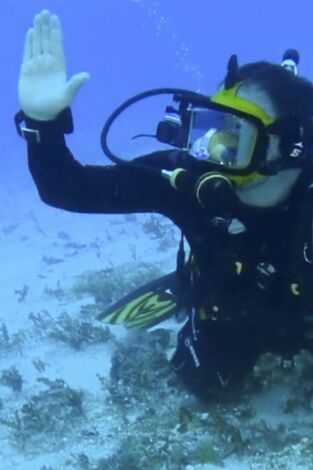 Expedición al pasado. Expedición al pasado,...: En busca de los pilotos perdidos de la Segunda Guerra Mundial