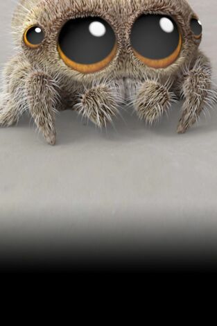 Lucas la Araña. T(T1). Lucas la Araña (T1): Ahora voy / Mirando las nubes / No lo hagas, Arlo