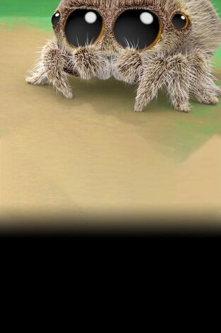 Lucas la Araña. T(T1). Lucas la Araña (T1): La leyenda del monstruo / Arlo necesita dormir / Las críticas