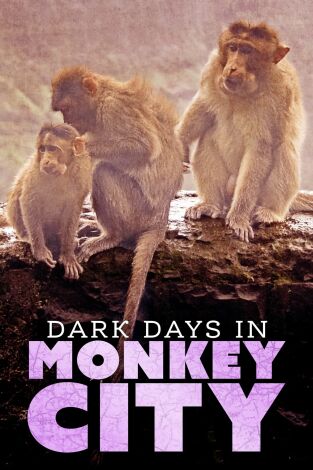 Monkey City. Monkey City: La invasión de los los Garras Negras