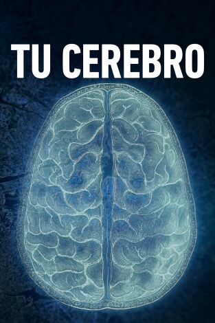 ES - Tu cerebro: La percepción