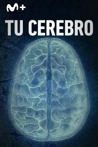 Tu cerebro. Tu cerebro: La percepción