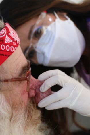 La doctora Lee. T(T6). La doctora Lee (T6): Piel de cocodrilo
