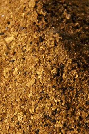 La fiebre del oro. T(T4). La fiebre del oro (T4): A por todas o a casa