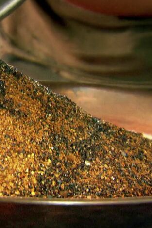 La fiebre del oro. T(T7). La fiebre del oro (T7): Oro de record