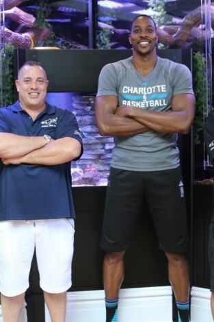 Acuarios XXL. T(T7). Acuarios XXL (T7): El acuario para serpientes de Dwight Howard