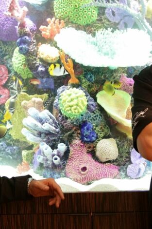 Acuarios XXL. T(T7). Acuarios XXL (T7): El acuario de Ludacris
