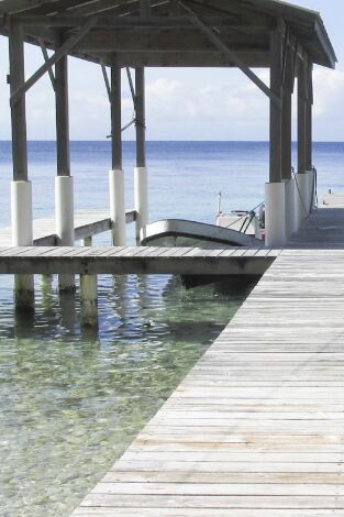 Quiero vivir en el Caribe. T(T8). Quiero vivir en... (T8): Un clima maravilloso en Útila