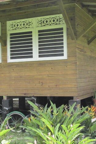 Quiero vivir en el Caribe. T(T8). Quiero vivir en... (T8): Una nueva vida en Bocas del Toro